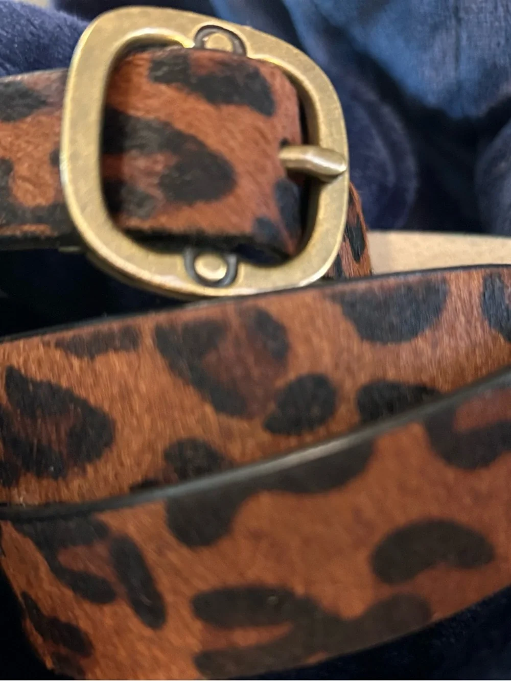 Coldwater Creek Leopard Haircalf Belt with Brass Buckle - Brown/Black - Picture 10 of 11